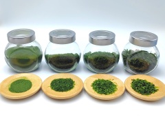 青海苔（Aonori）（AMAAOSA）（NORI）石莼