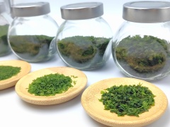 青海苔（Aonori）（AMAAOSA）（NORI）石莼