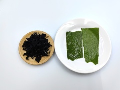 裙帶菜 （wakame）