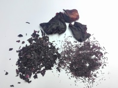 紅皮藻（dulse）