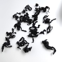 裙帶菜 （wakame）