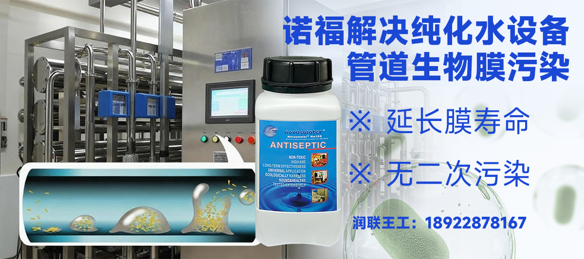 制药纯化水系统微生物控制：全面应对皮氏罗尔斯顿菌超标与管道生物膜污染