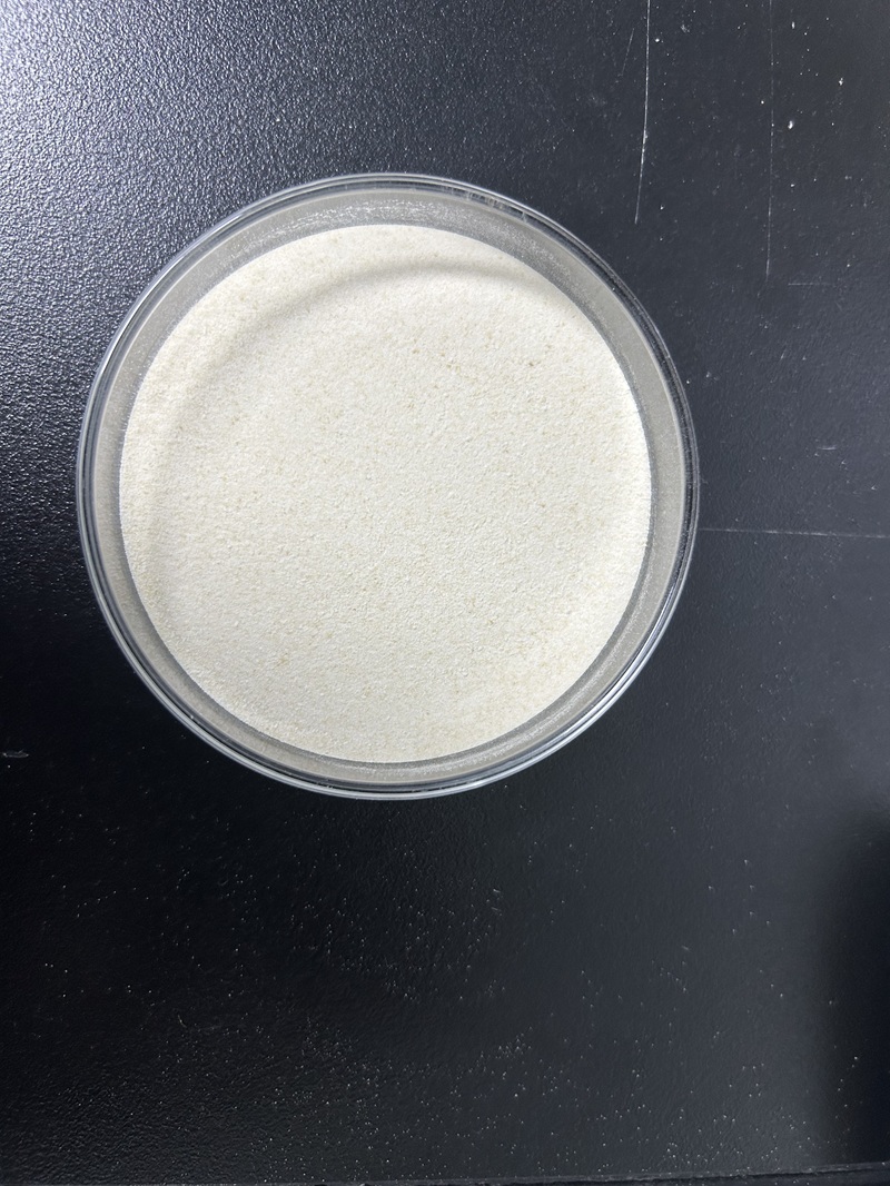 嗜粘蛋白阿克曼氏菌AH39