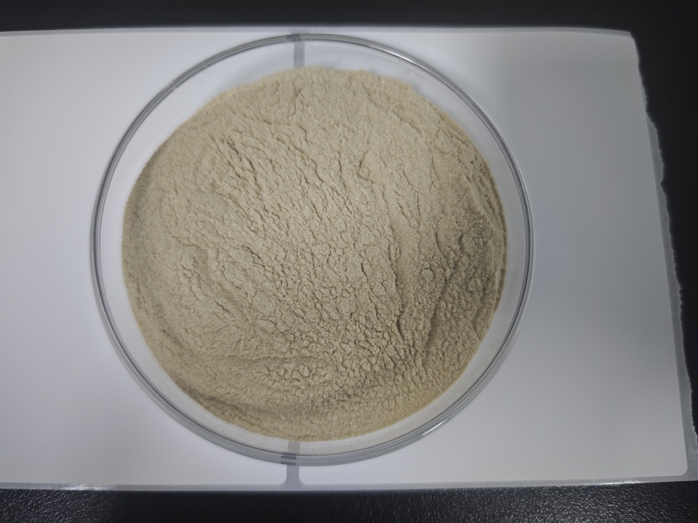 凝结魏茨曼氏菌-39