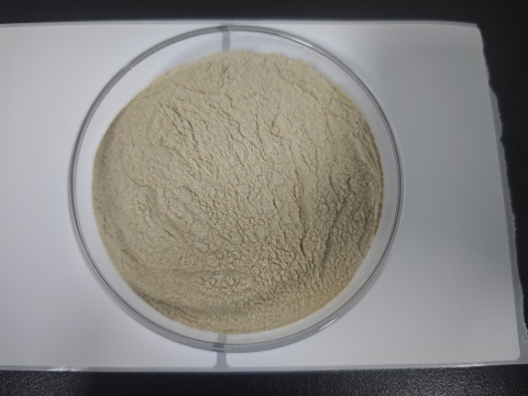 凝结魏茨曼氏菌-39