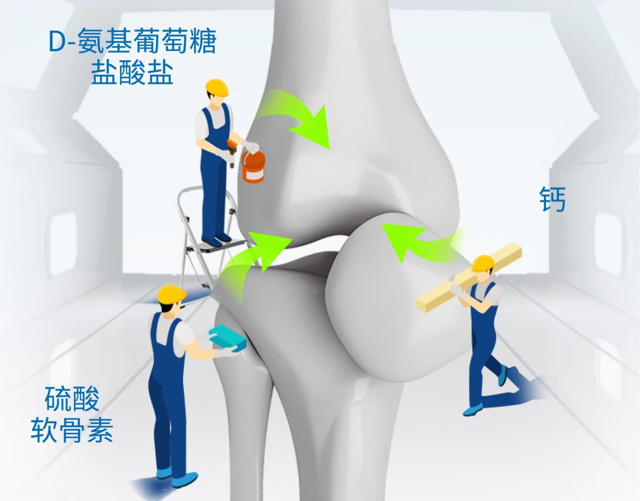 百合康牌氨基葡萄糖硫酸软骨素钙胶囊