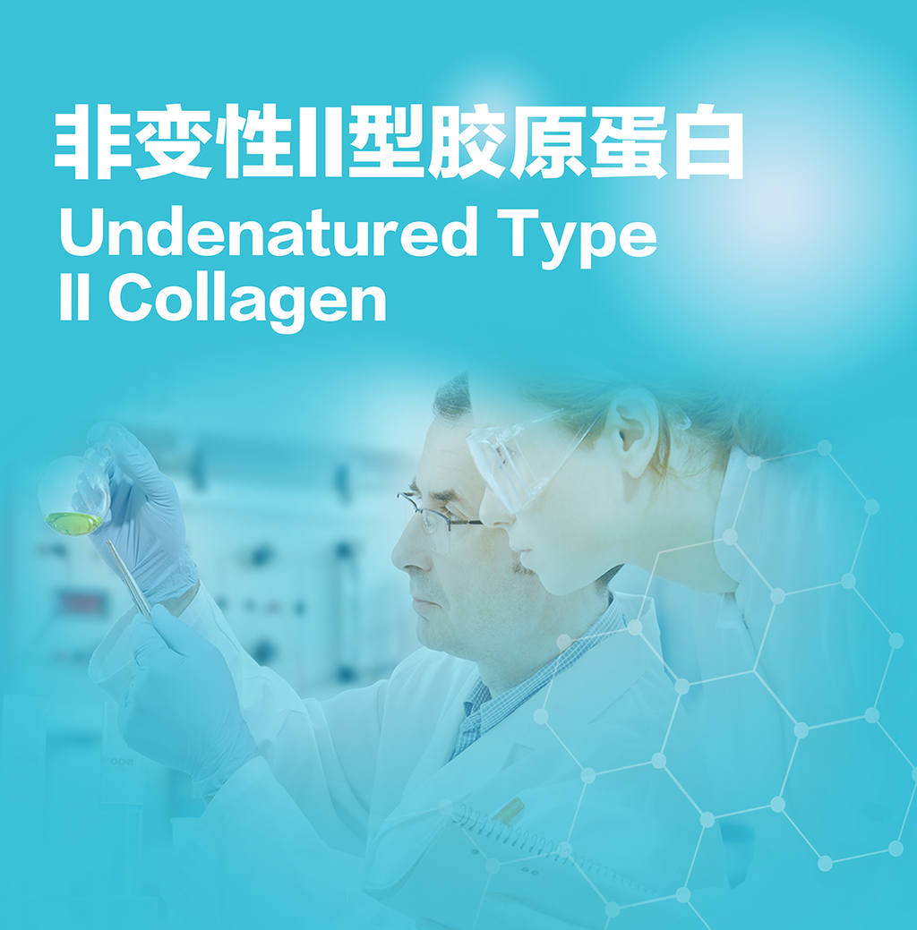 非变性II型胶原蛋白