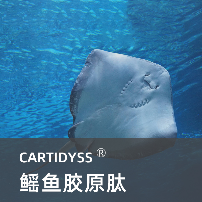 鱼胶原蛋白 CARTIDYSS