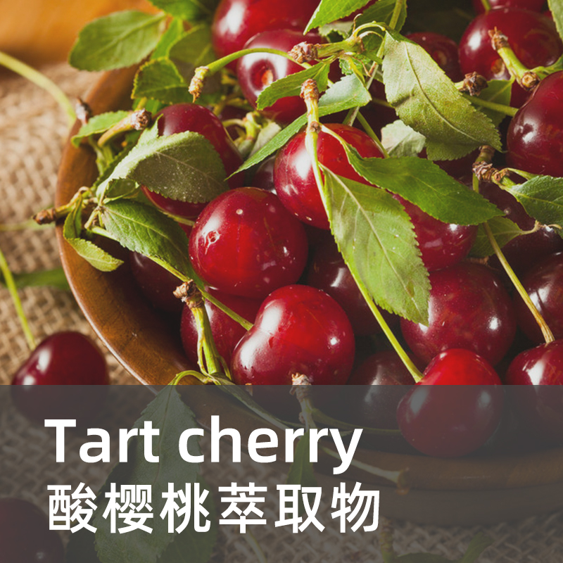 酸樱桃
