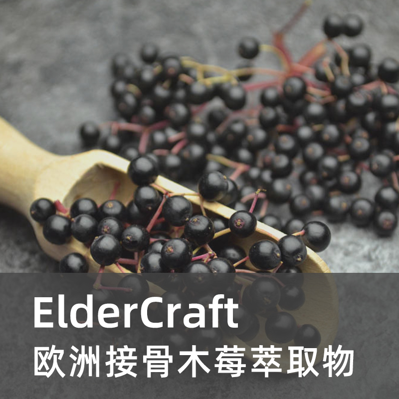 接骨木莓浓缩果汁粉