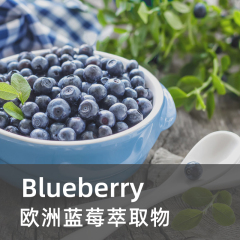欧洲蓝莓果粉