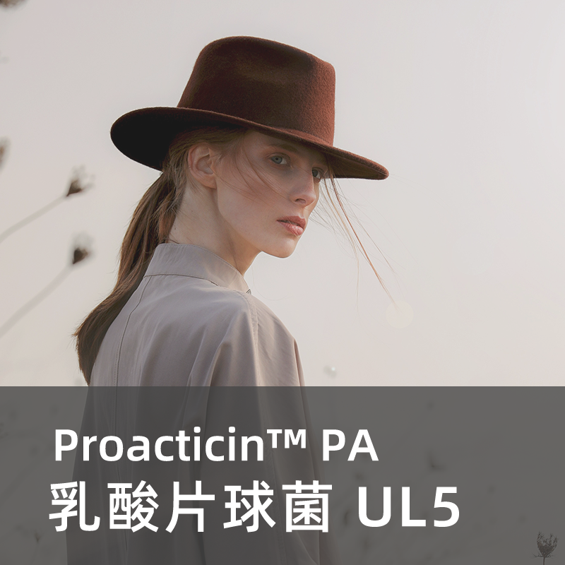 后生元：乳酸片球菌 UL5