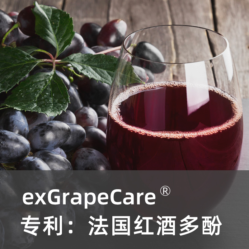 专利：法国红酒多酚