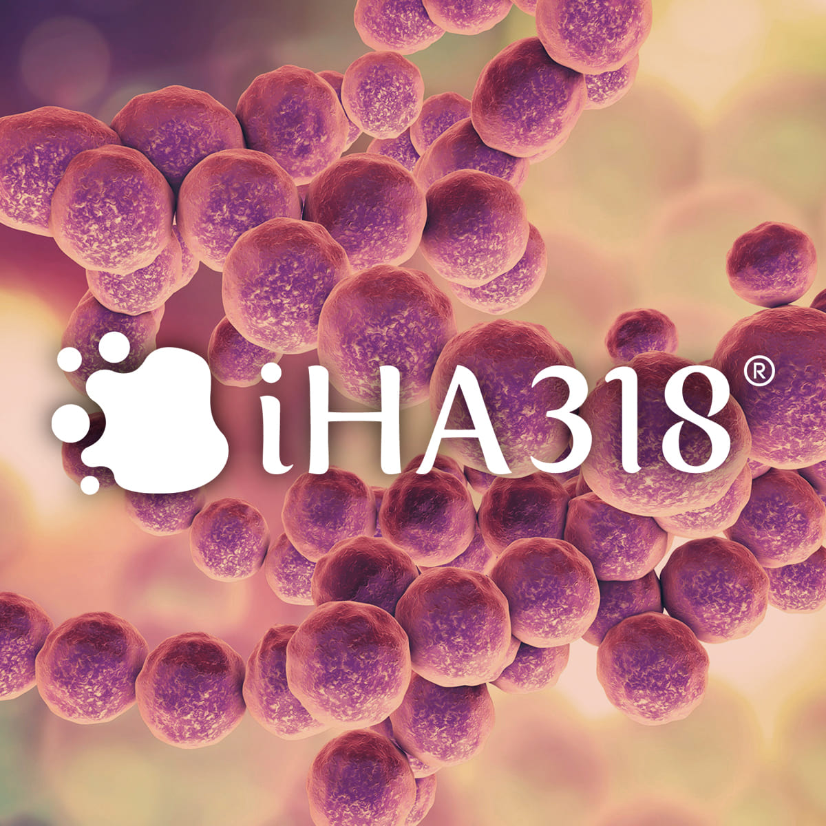 iHA318® Streptococcus thermophilus  