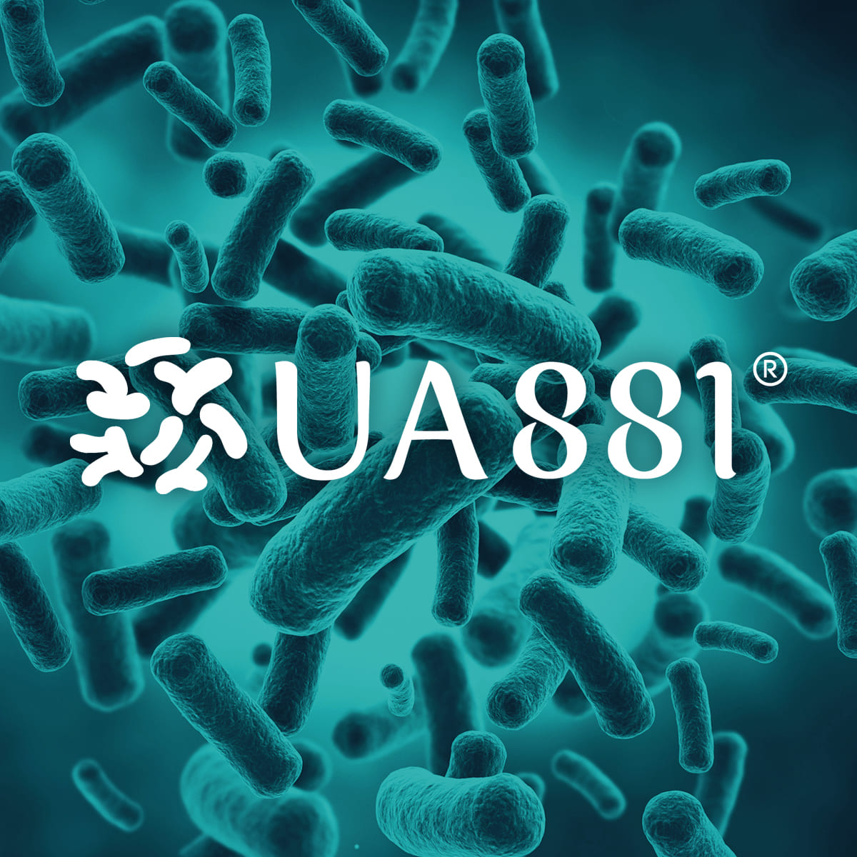 Lactobacillus helveticus UA881®