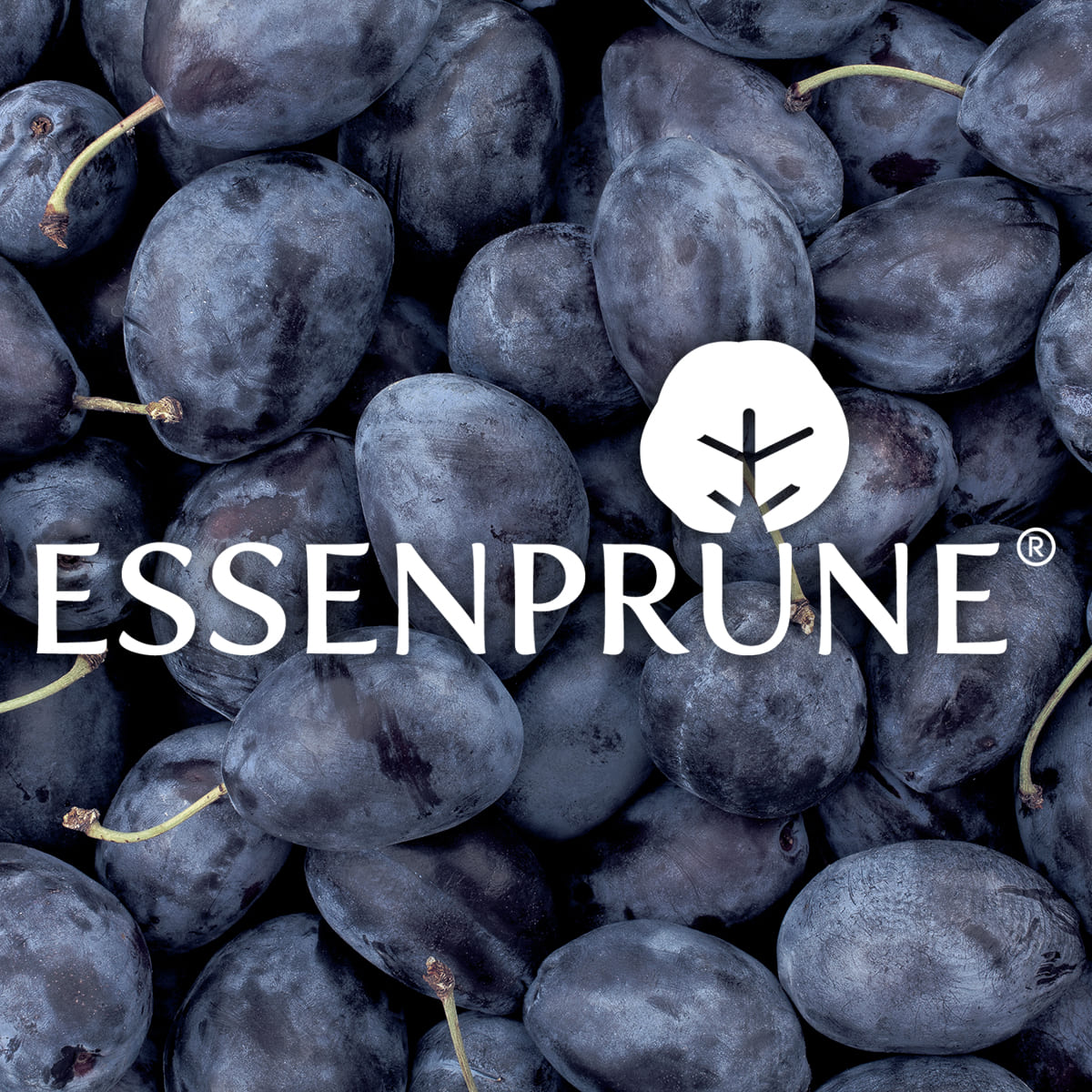 ESSENPRUNE® 西梅酵素精華