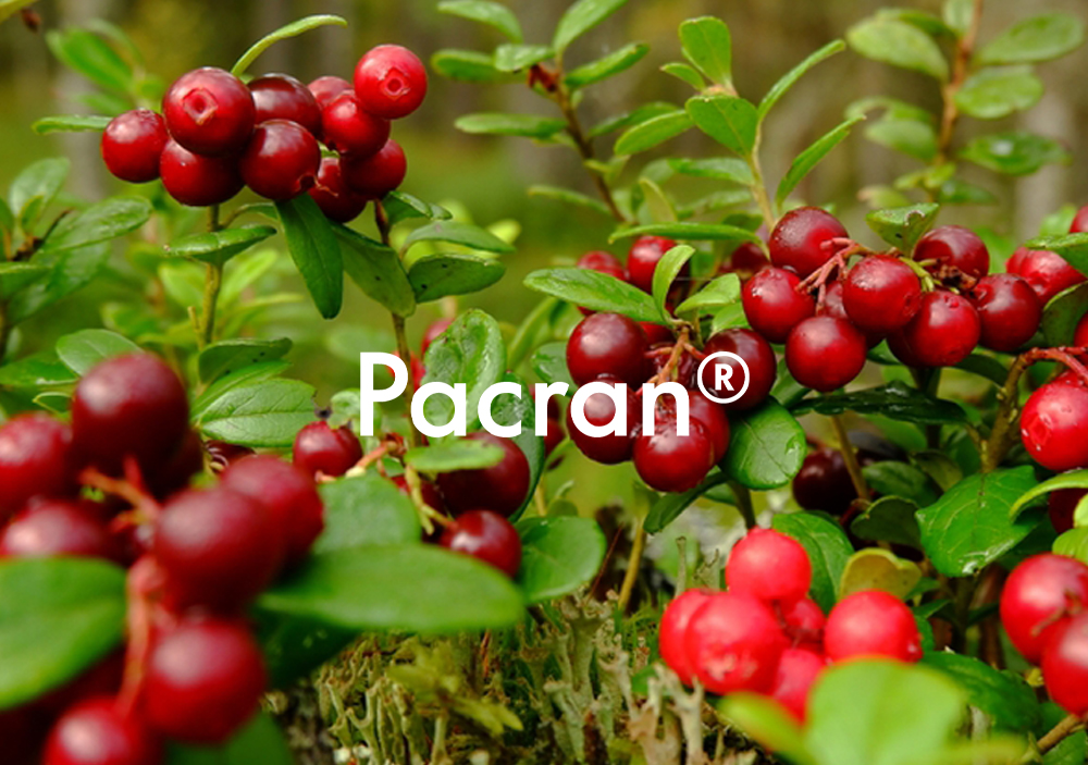 Pacran® 蔓越莓提取物