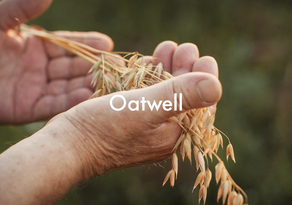 Oatwell燕麦麸粉