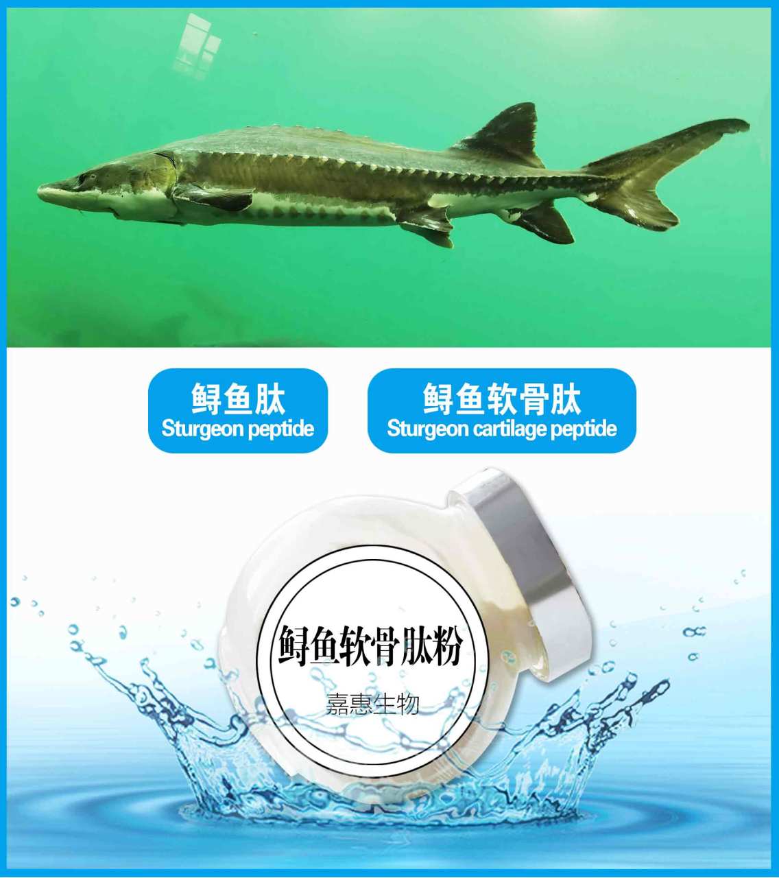 鲟鱼肽系列产品