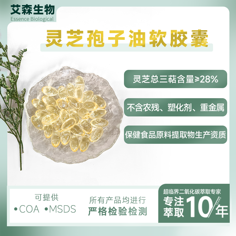 灵芝孢子油 软胶囊批发 厂家直供原料 出口品质 三萜≥28% 