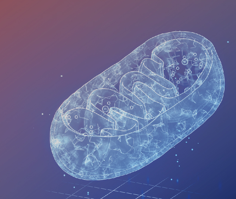 MitoPQQ™ 吡咯并喹啉醌二钠盐 