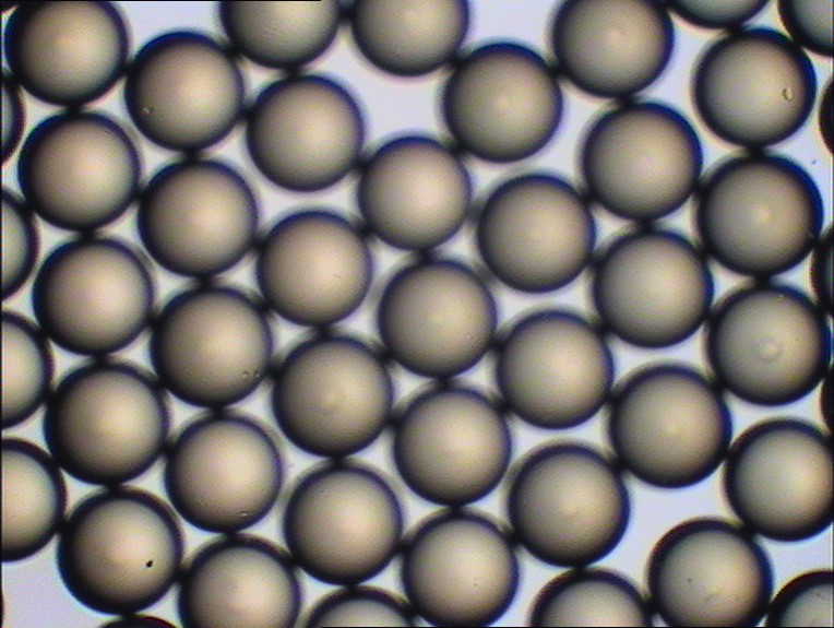 争光ZGSPC106Ca 色谱分离树脂