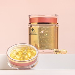 0.5g*60粒 森谷宝®灵芝孢子油软胶囊  每100g含：灵芝三萜29g