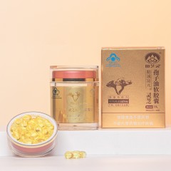 精诚富元灵芝孢子油软胶囊 0.3g*60粒 总三萜28g 每100g含：总三萜28g