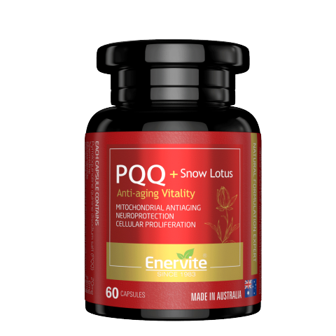 澳乐维他 PQQ雪莲片60 