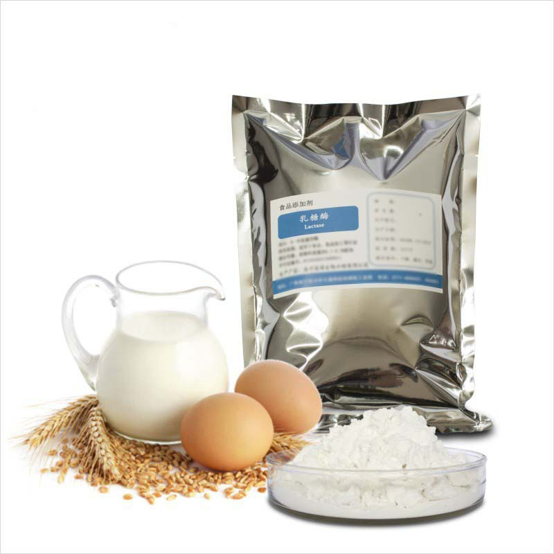 乳糖酶