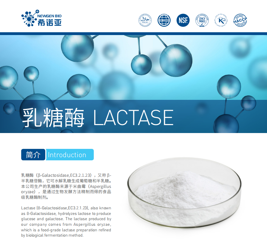 乳糖酶