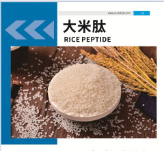 大米肽 水解大米蛋白