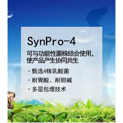 Synpro-4乳酸菌