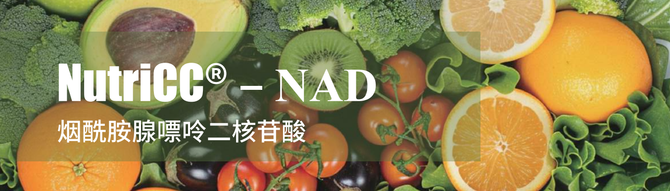 上海克琴科技有限公司