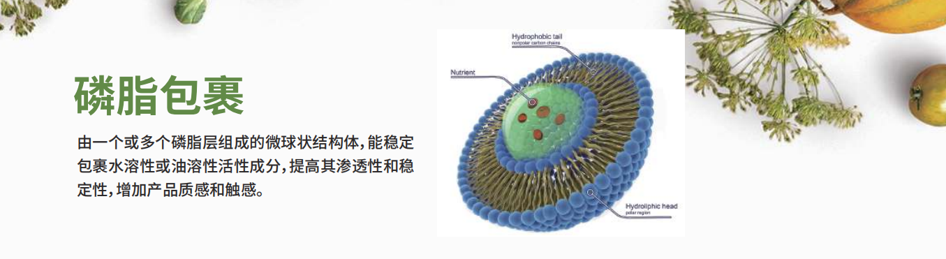 上海克琴科技有限公司