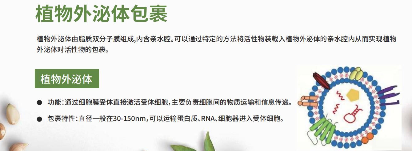 上海克琴科技有限公司