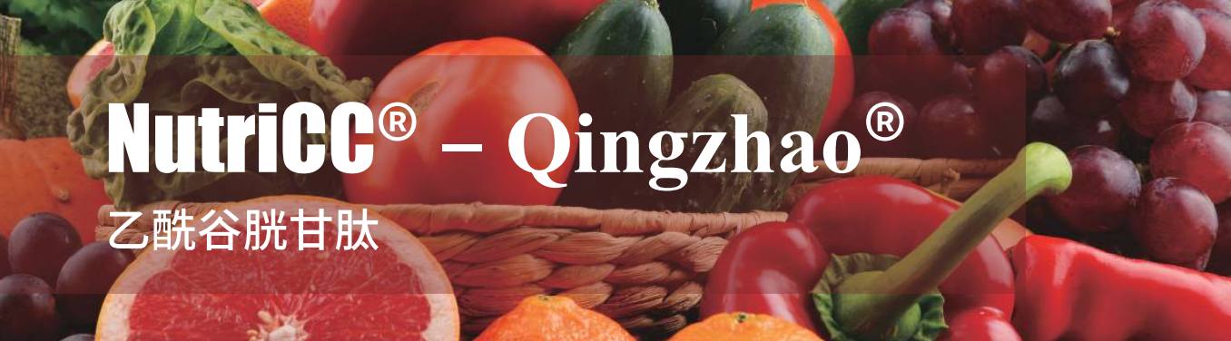 上海克琴科技有限公司