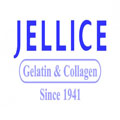 JELLICE PIONEER PRIVATE LIMITED TAIWAN BRANCH (SINGAPORE)
