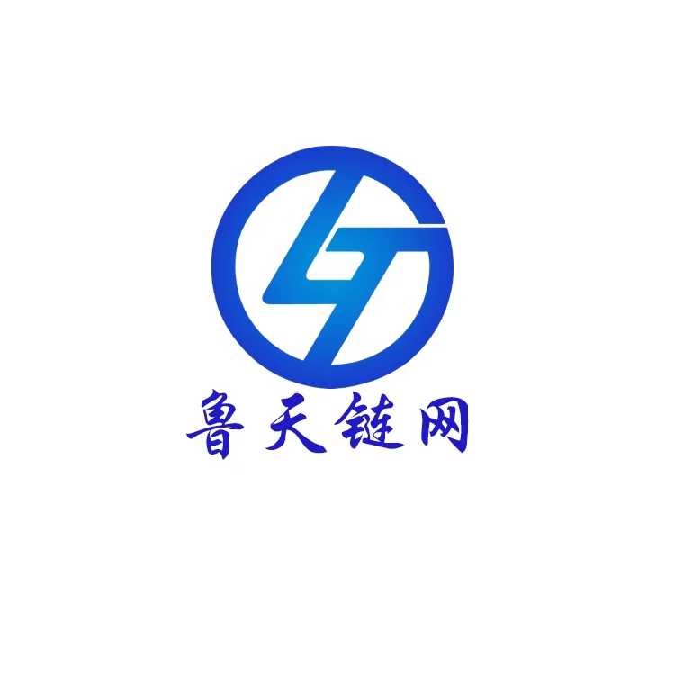 Ningjin County Lutian Chain Network Conveyor Equipment Co. LTD