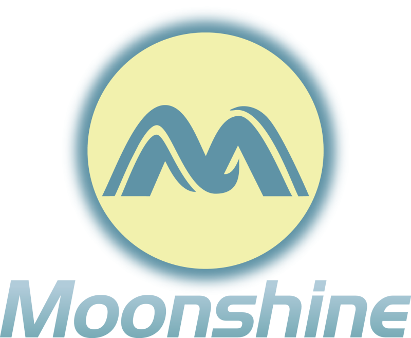 Shanghai Moonshine Technology Pvt Ltd.
