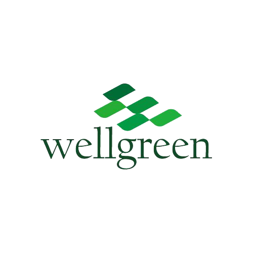 WELLGREEN TECHNOLOGY CO.,LTD