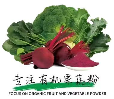 XINGHUA DONGBAO INTERNATIONAL TRADE CO., LTD.