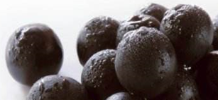 巴西莓果蔬酵素