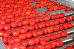 番茄浓缩汁生产线