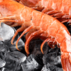 FDA investigation shows shrimp as probable source of Salmonella outbreak