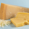 Study finds Listeria in cheese in Ecuador