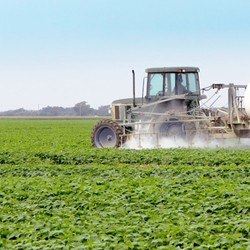 EPA ends use of pesticide chlorpyrifos on food because of human safety concerns