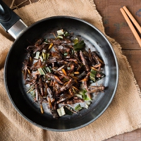 Insect protein holds “great potential” to reduce the carbon footprint of European consumers, flags s