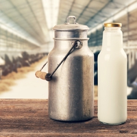 Arla digs into regenerative dairy farming potential through farming pilot project