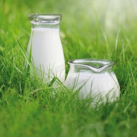 Olam Food Ingredients commissions New Zealand dairy processing plant